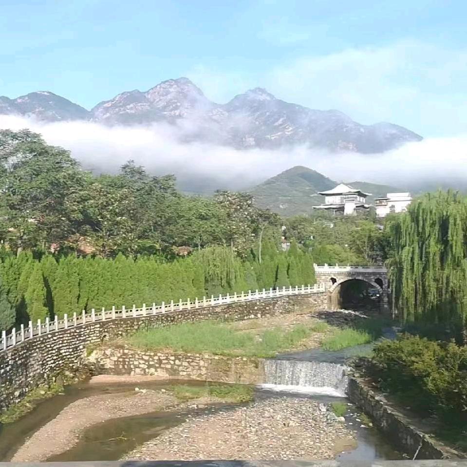鹊山脚下扁鹊庙，庙前神柏永不老（神头村)