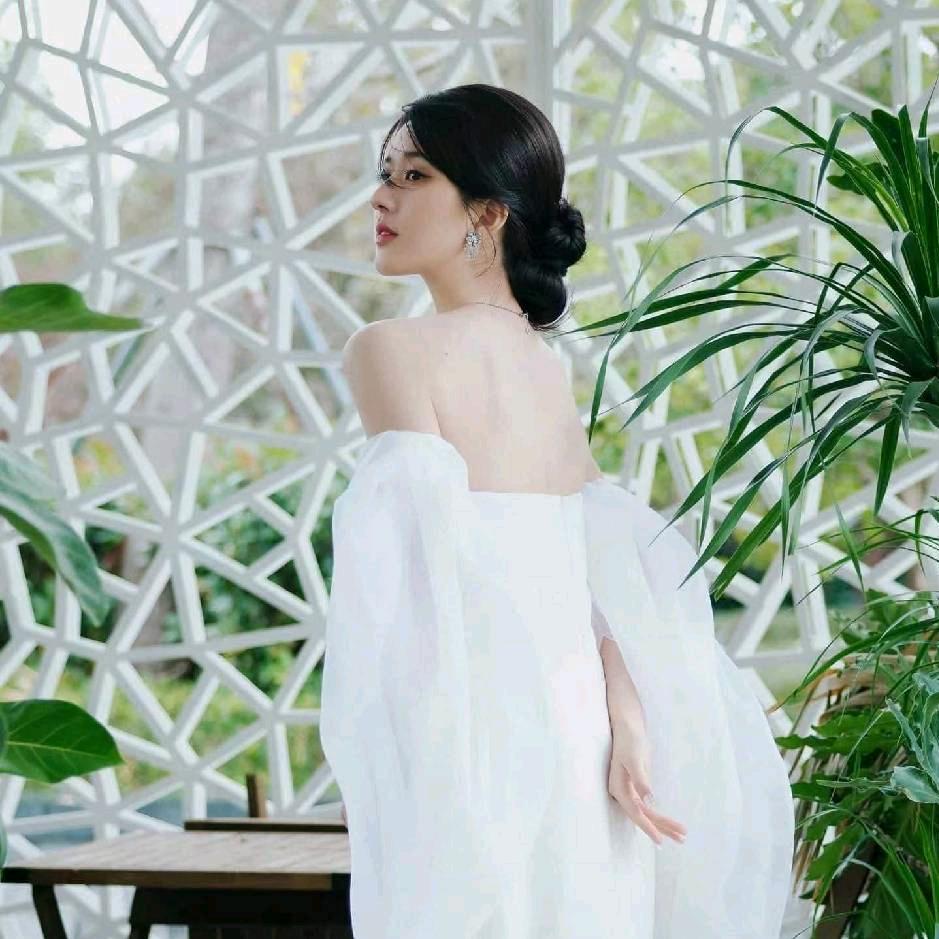 琴姐🦋