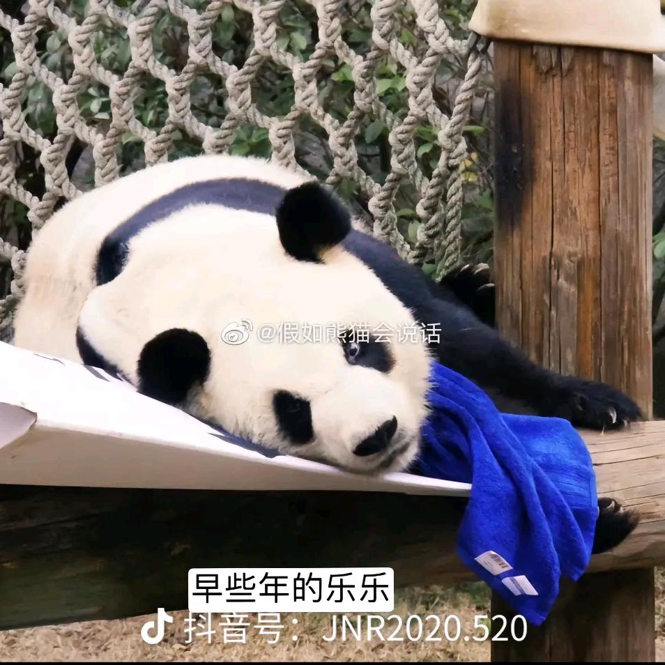 ，心愿