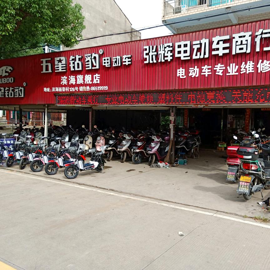 张辉电动车商行  聚源电动车充电器