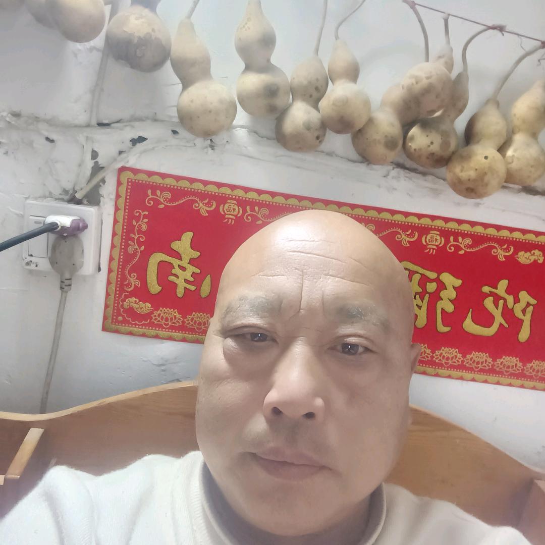 亳州市谯城区现代化药材高产推广