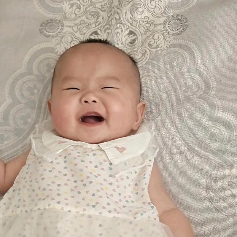 杨家老九