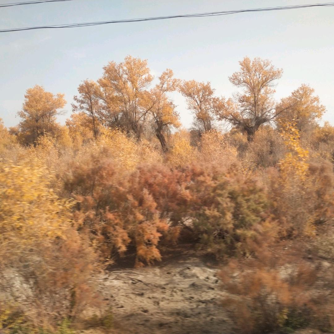 我有点忙，稍后联系……