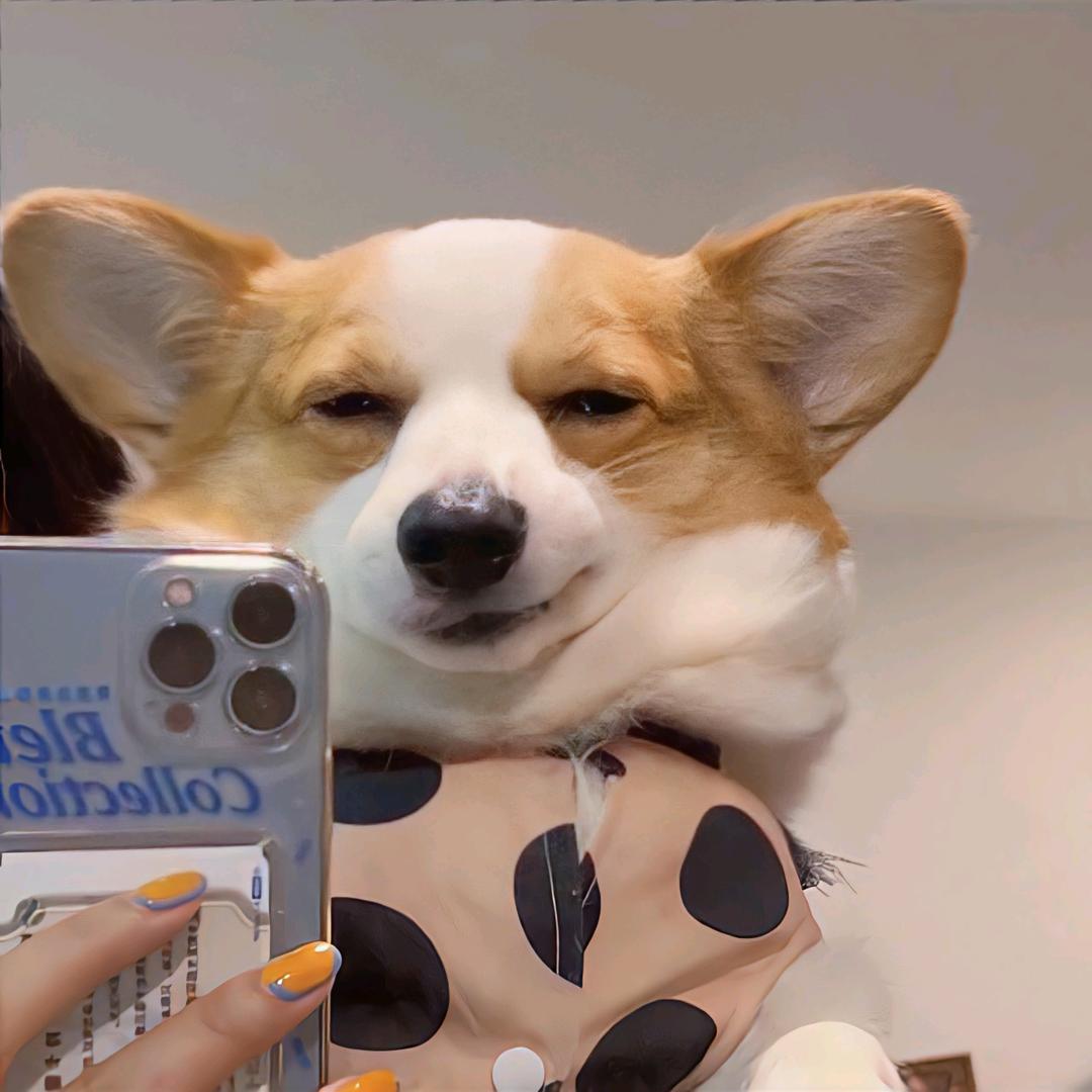 卫sir_