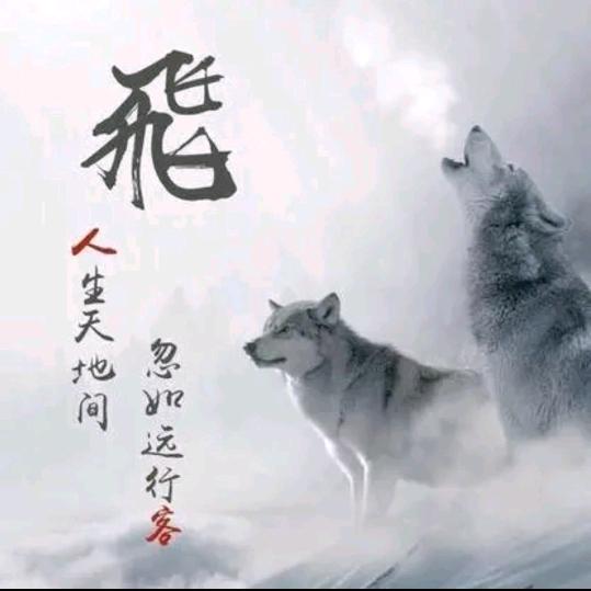 最烈的酒