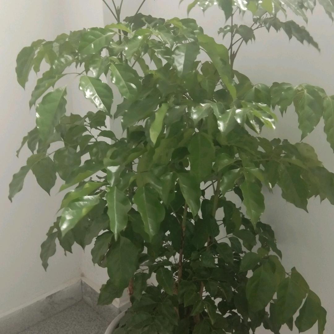 我