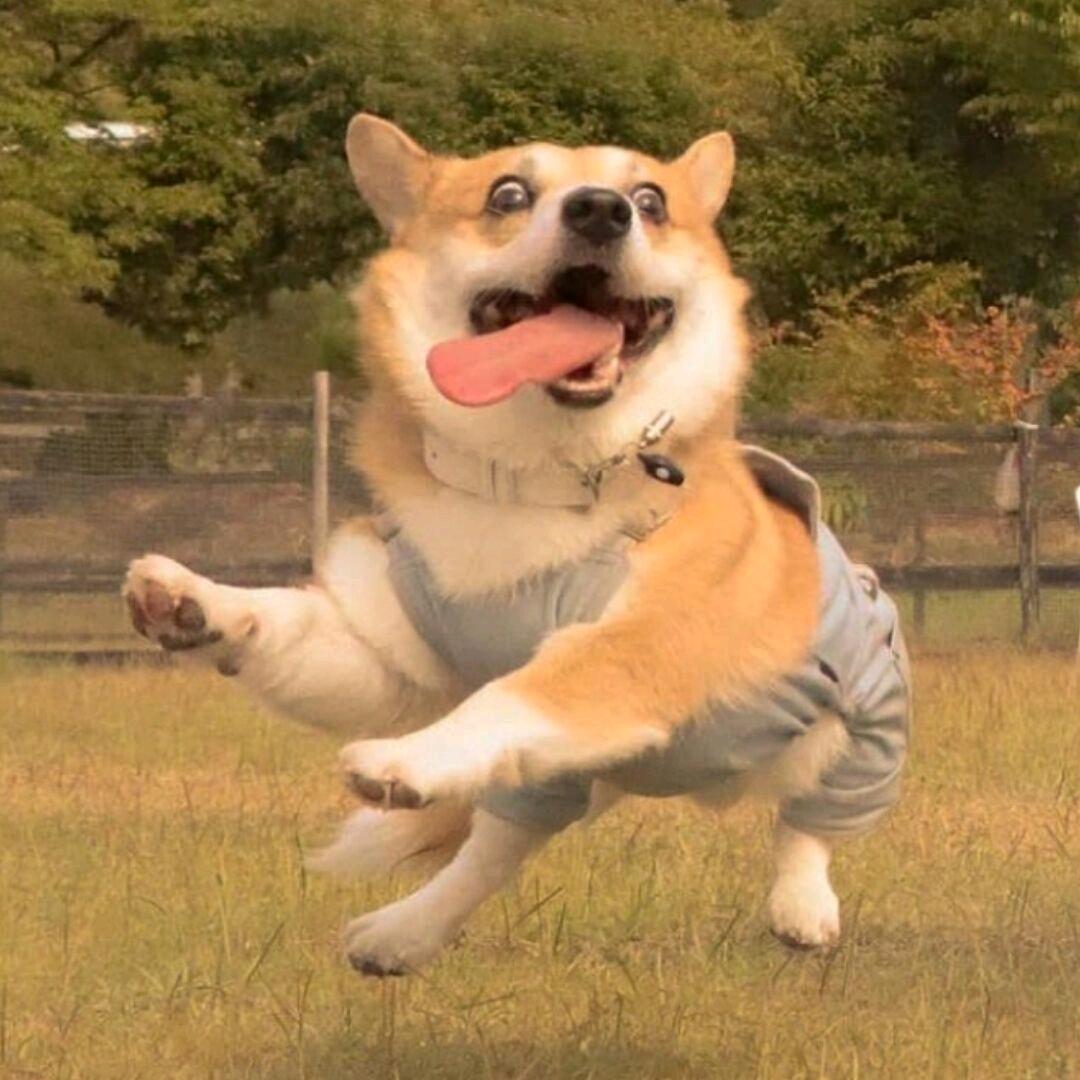 城江