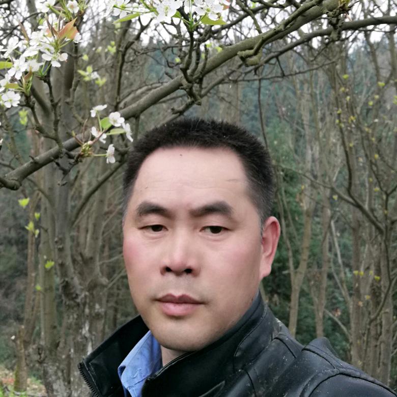 杰湖