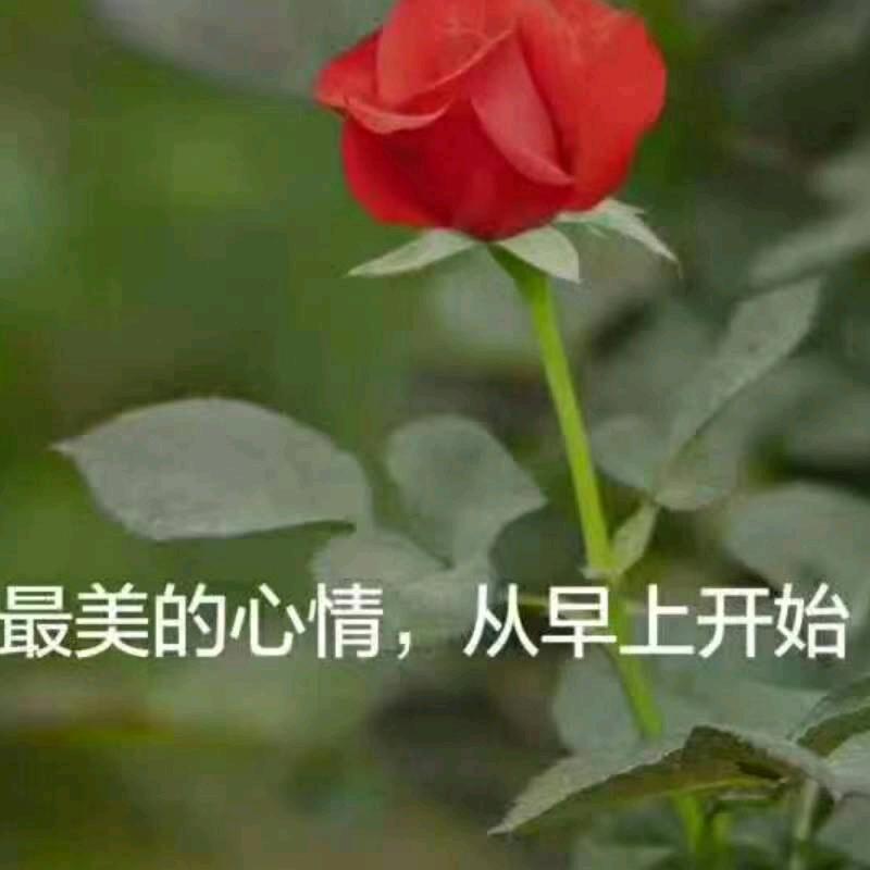 张慧
