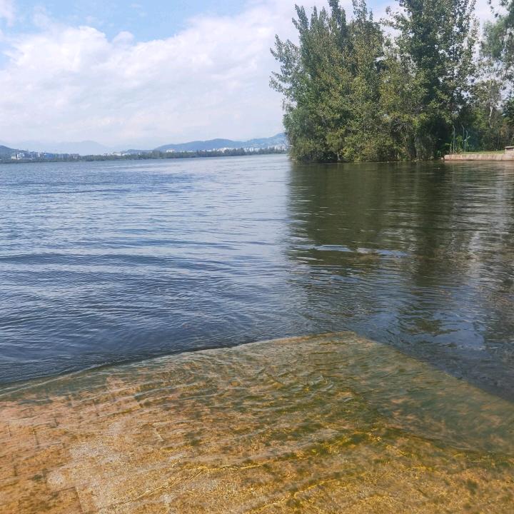 用户95103353，风雨后的阳光