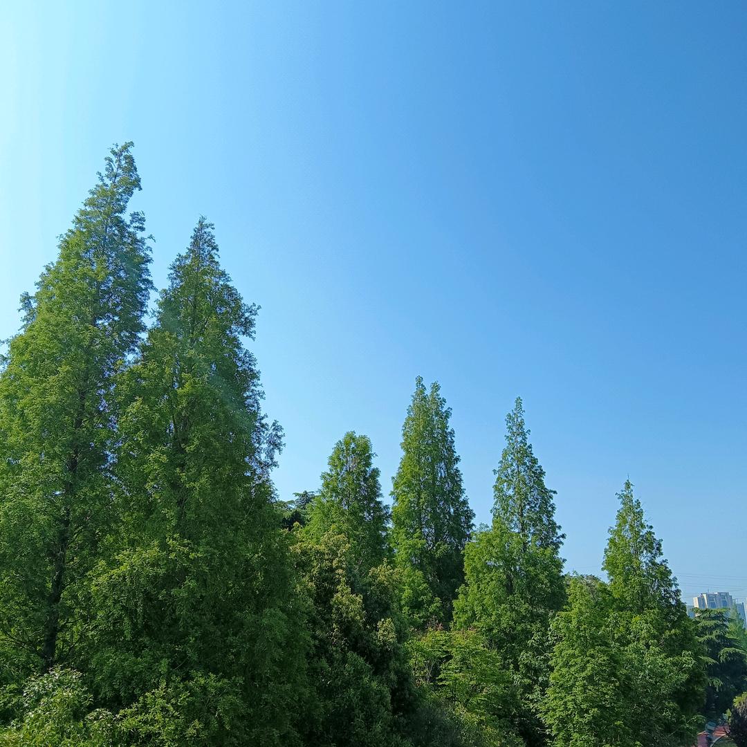 人生短暂