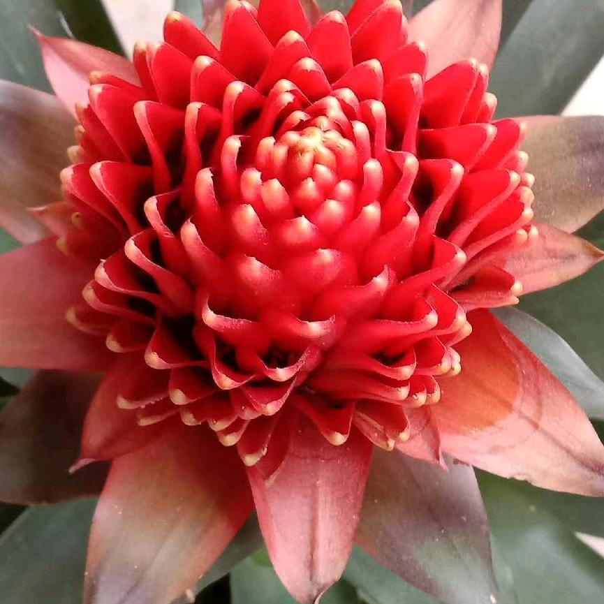 幸福小星星✨✨✨