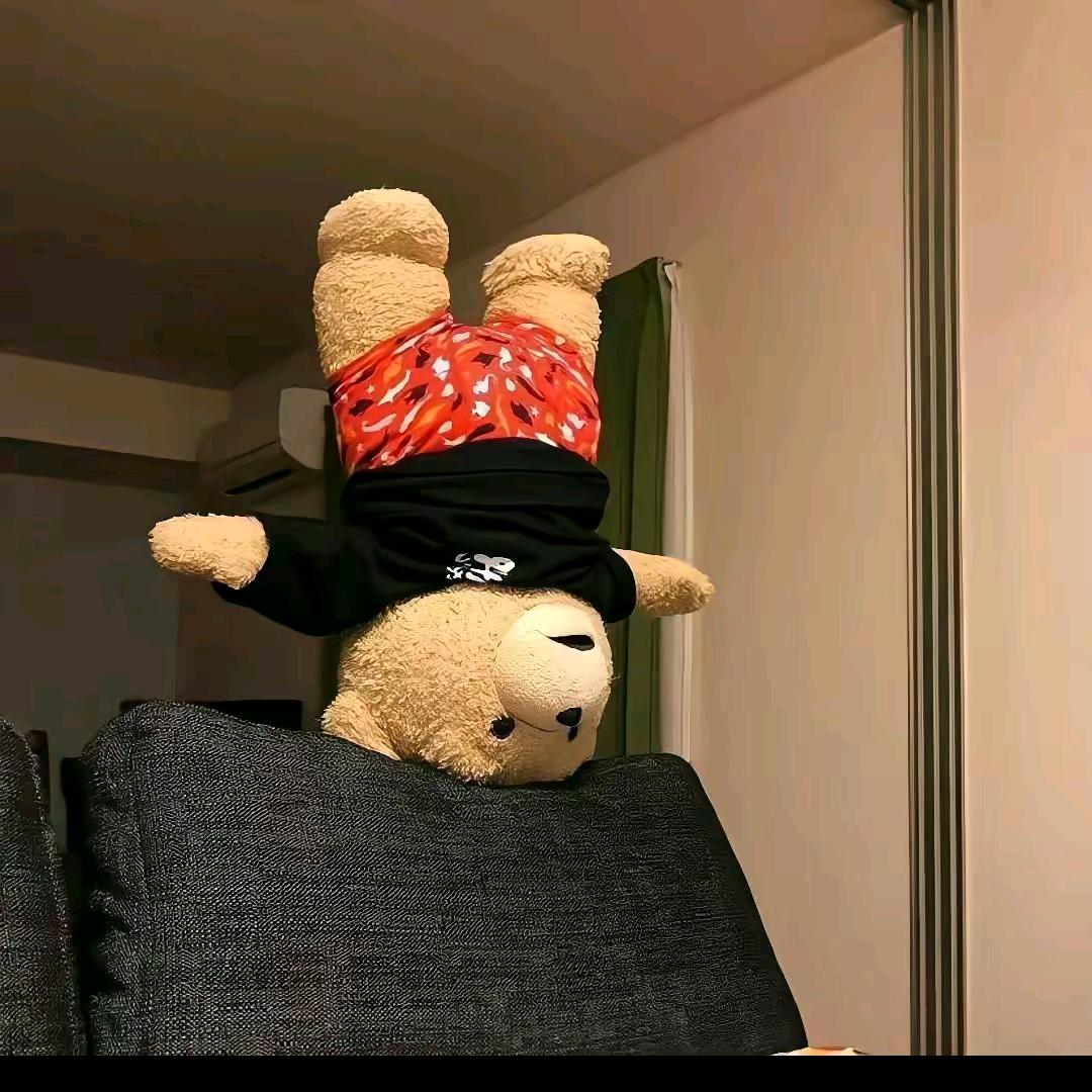 倒霉熊