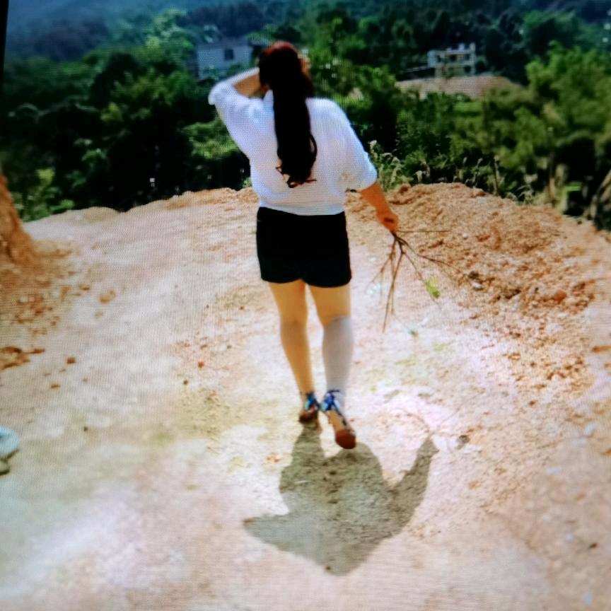 晨阳渐升