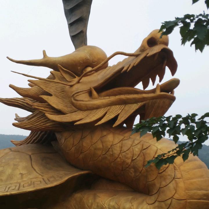 小黑龙