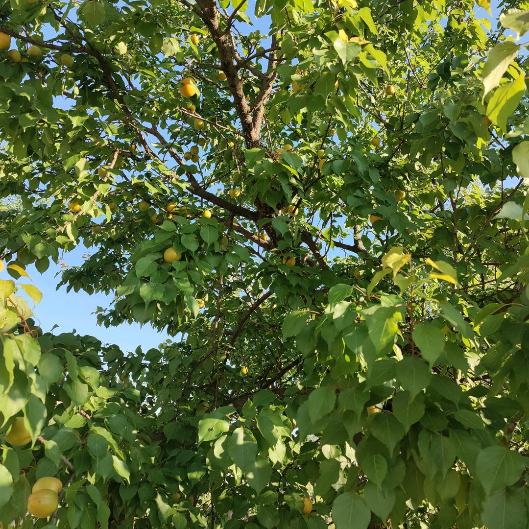 往后余生，善待自己