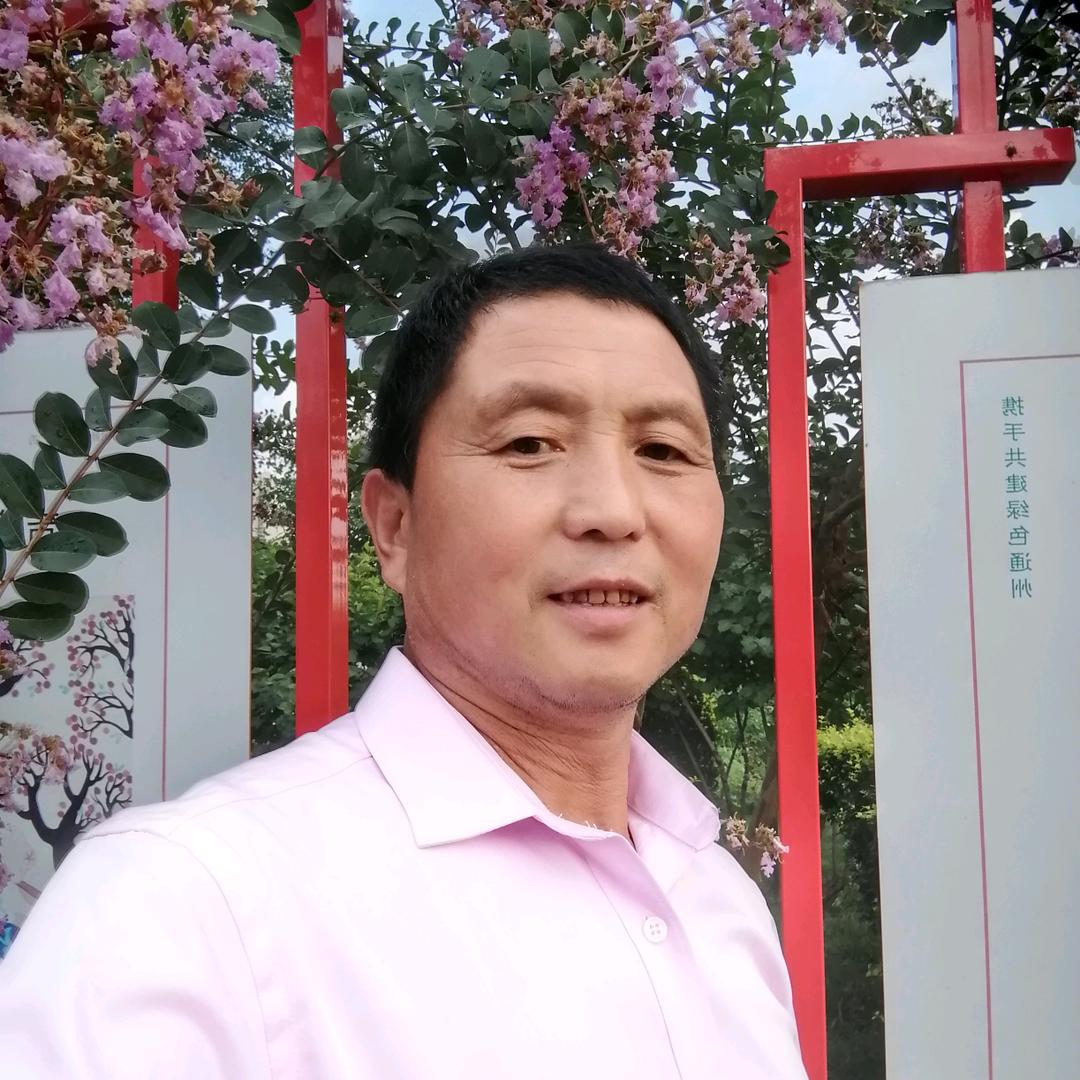 Wang哥