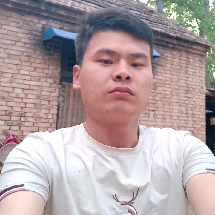出售。金蝉银蝉，