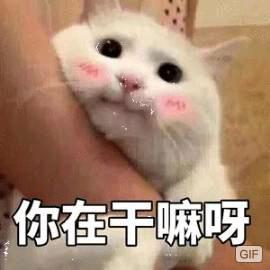 钟文廷
