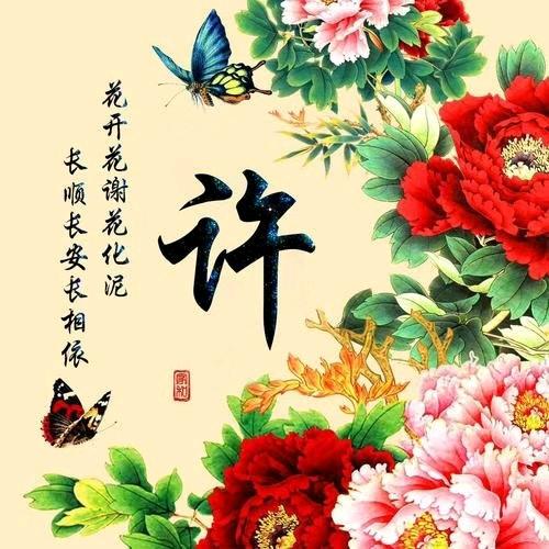 许家老七⛵️620