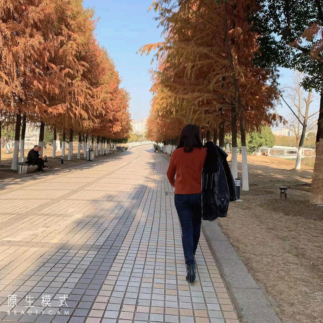 随梦而飞