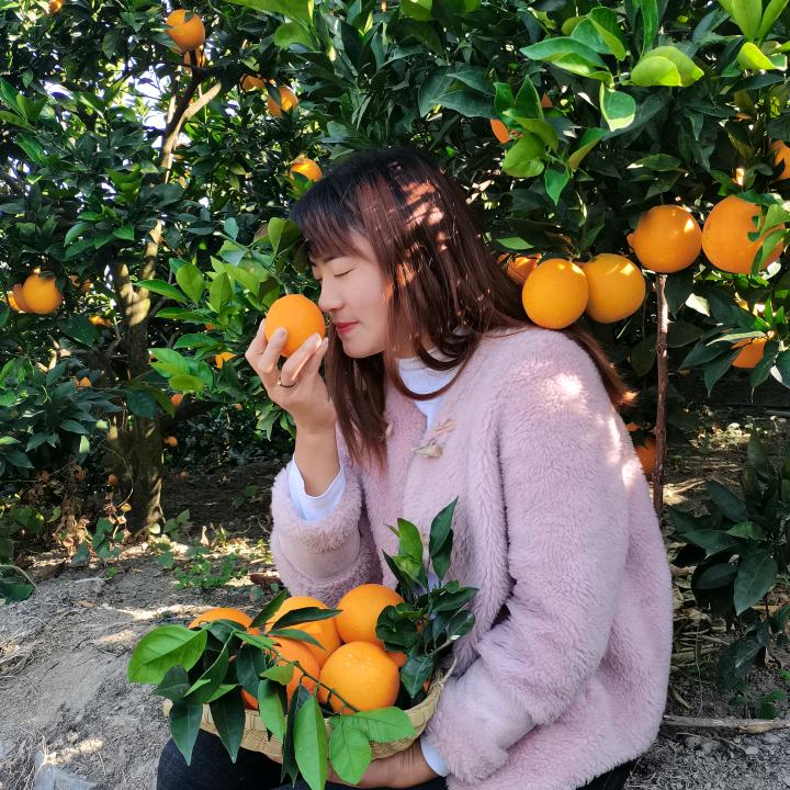 橙子菇凉1