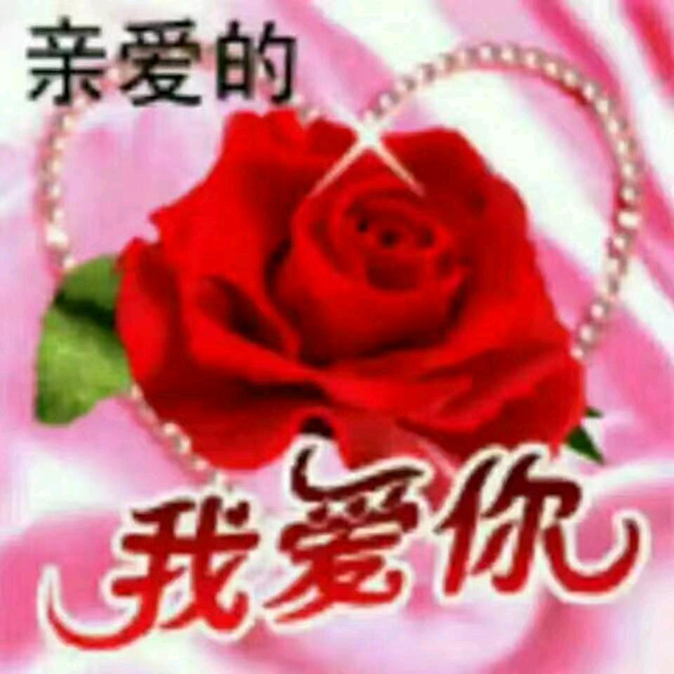 陪你一起变老小鸟依人