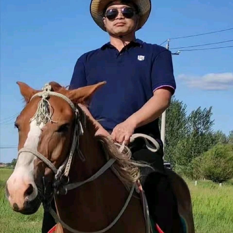 葫芦岛板川集成灶