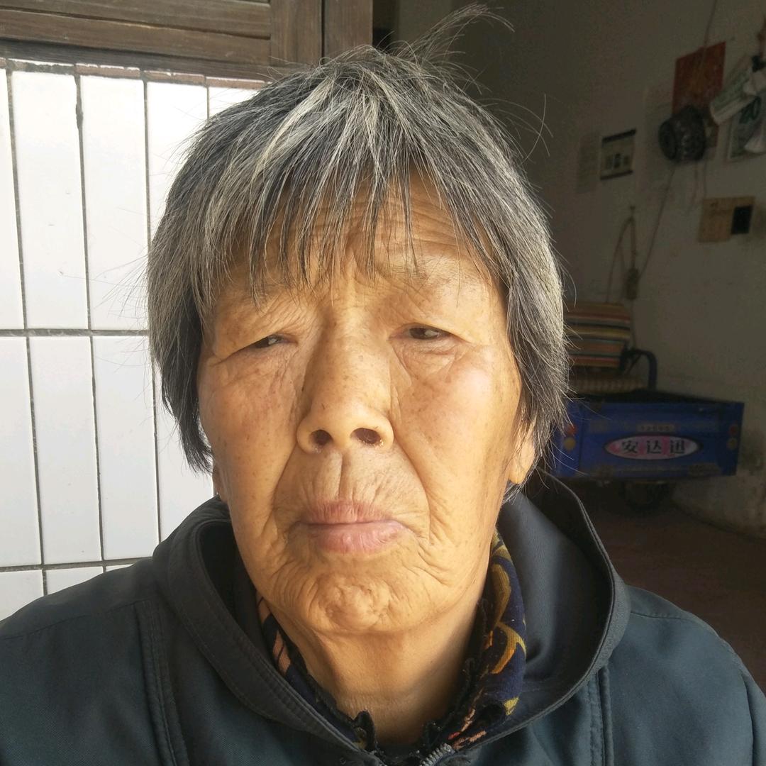 老琴