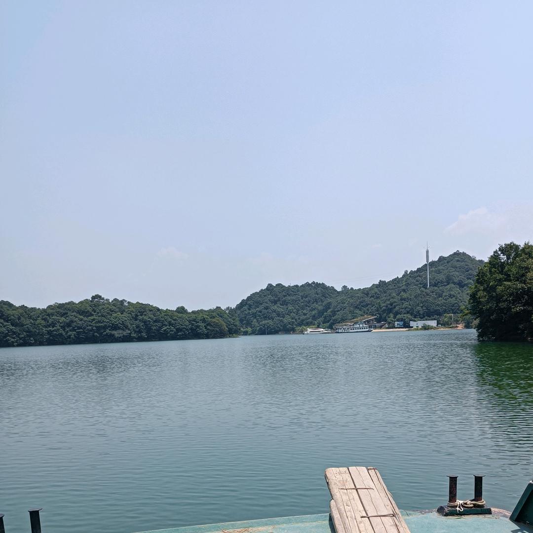 胖哥