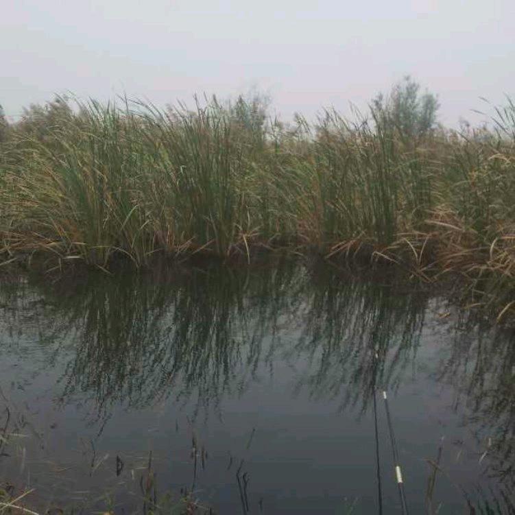 用户720239809282耿直人