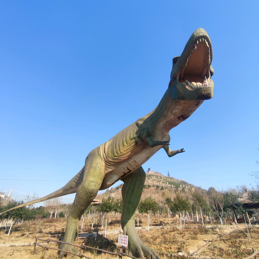 无敌霸王龙🦖
