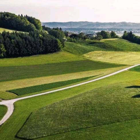 谈笑风生每一天