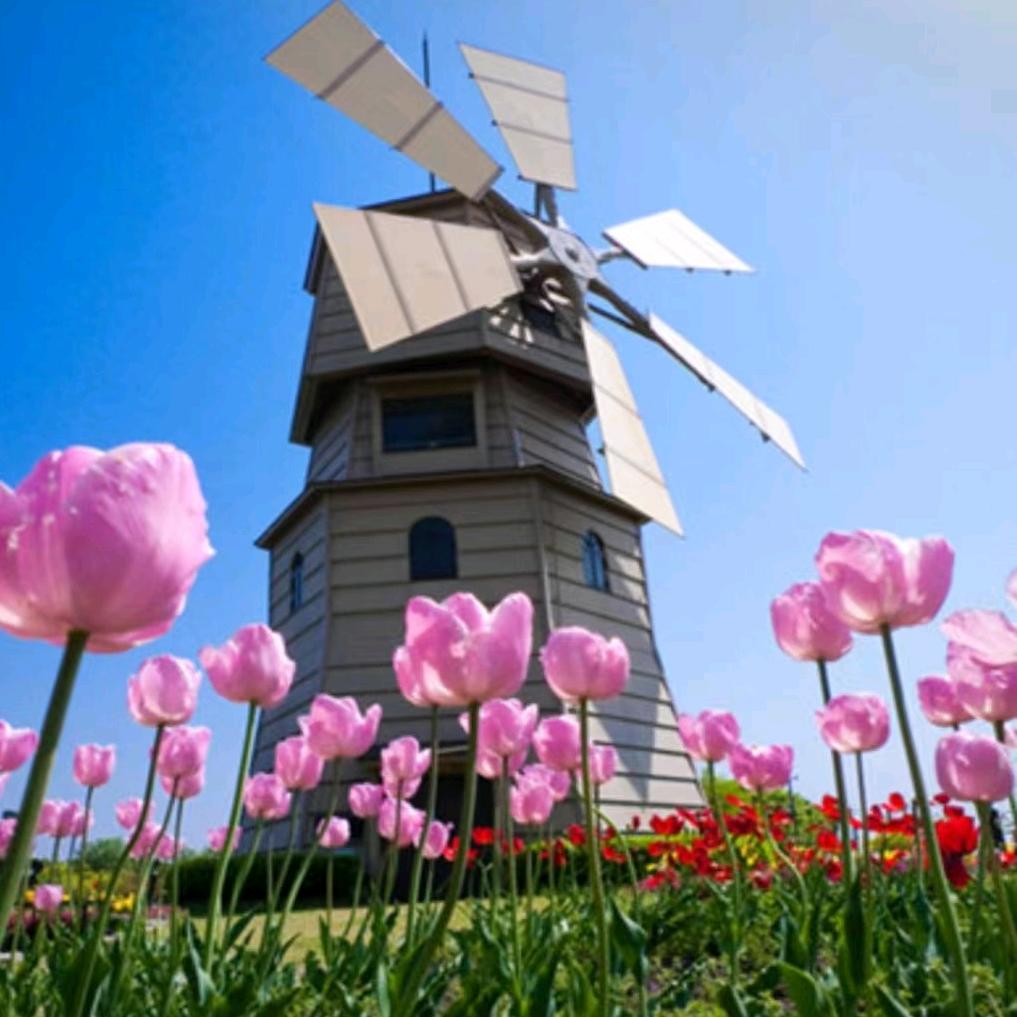 周口滴滴司机！高哥