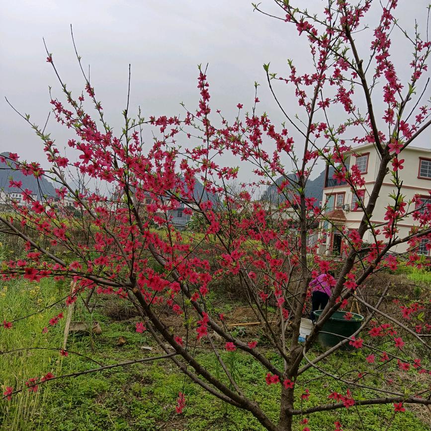 我是你的菜