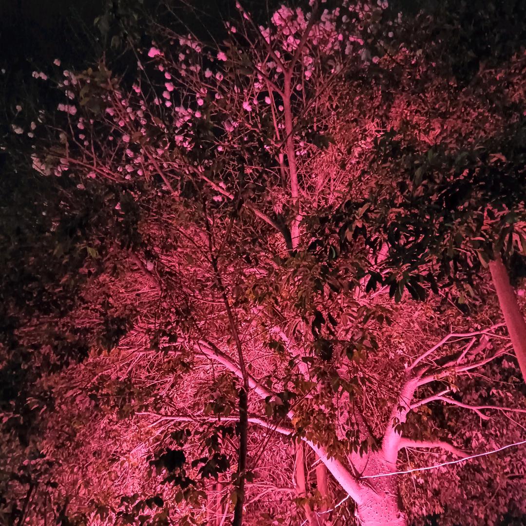 百毒不侵