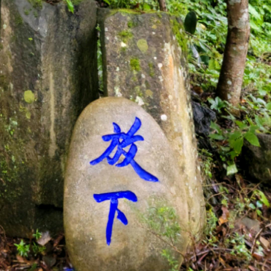 觉航