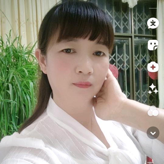 玫瑰的人生