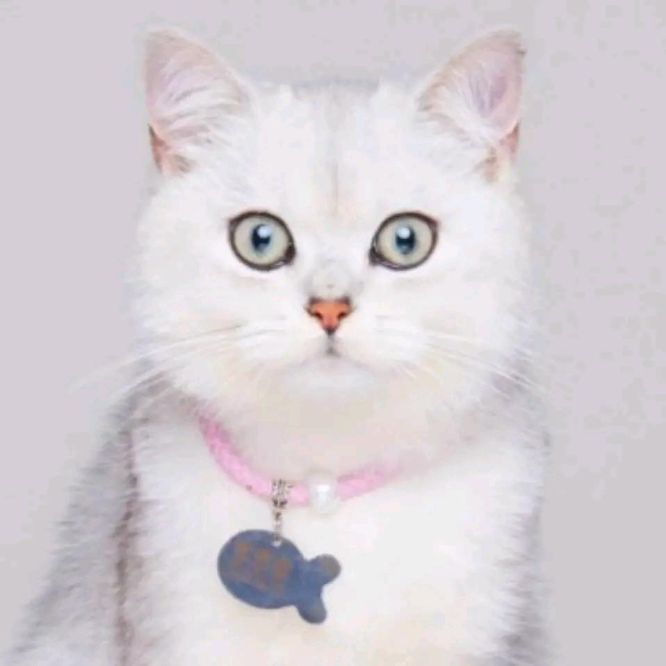 笑咪咪