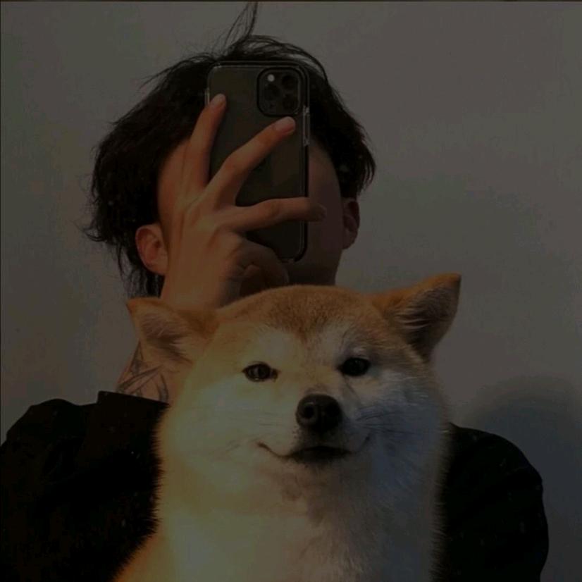 大逼斗ʕ ᵔᴥᵔ ʔ