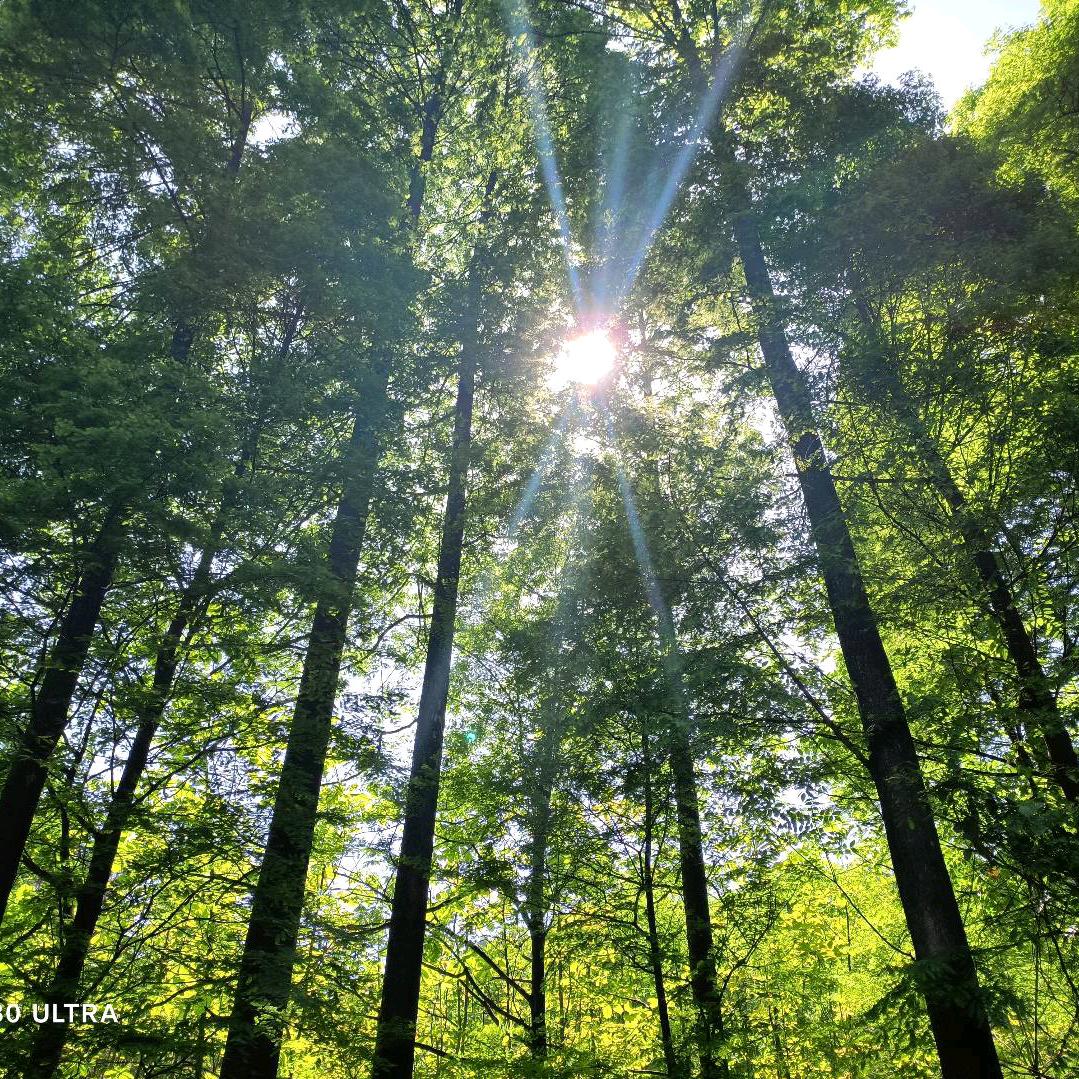蓝云绮梦读书间