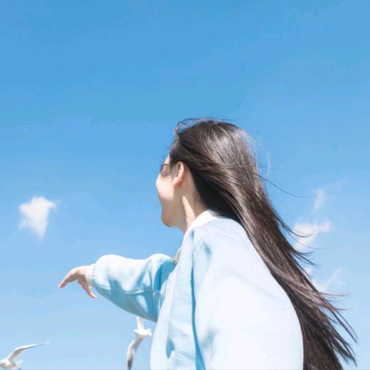 清风自来