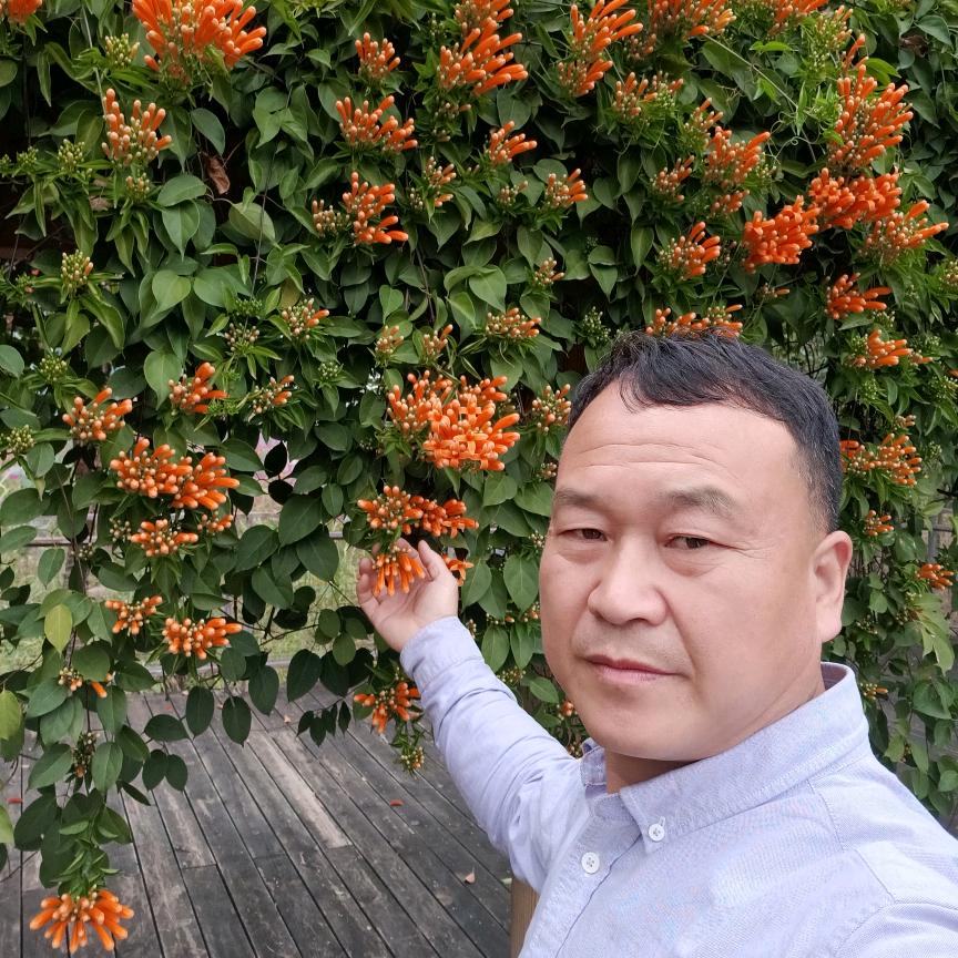 龙圣装饰