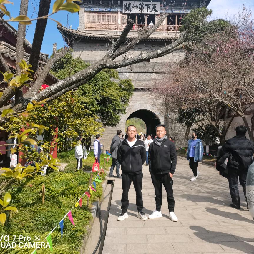 电力小双