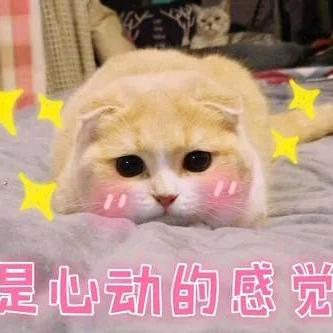 好运连连.陆陆顺
