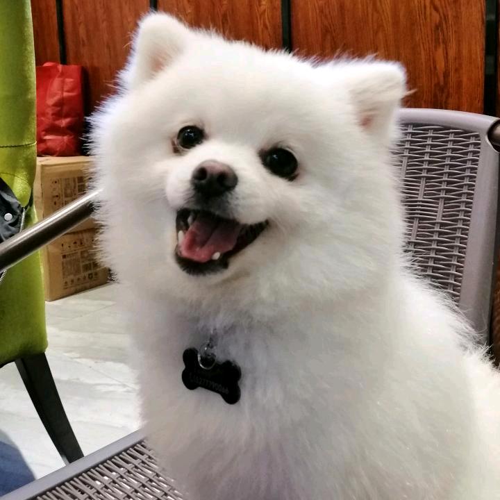 清★晨