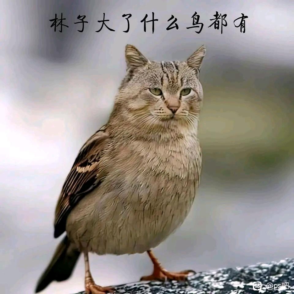 拥抱明天
