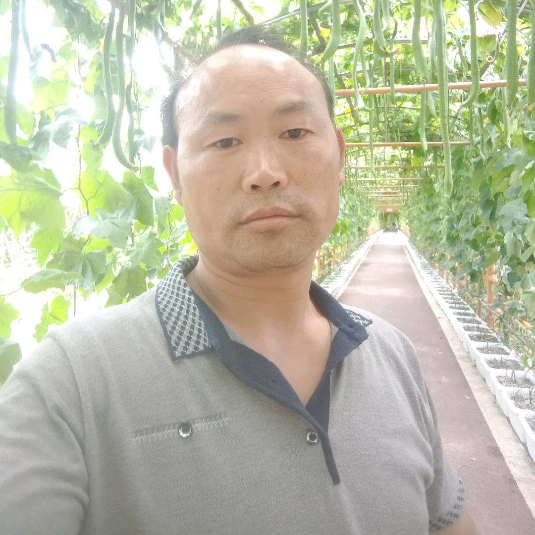 何明红，74年的