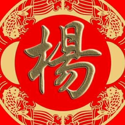 杨雨泽