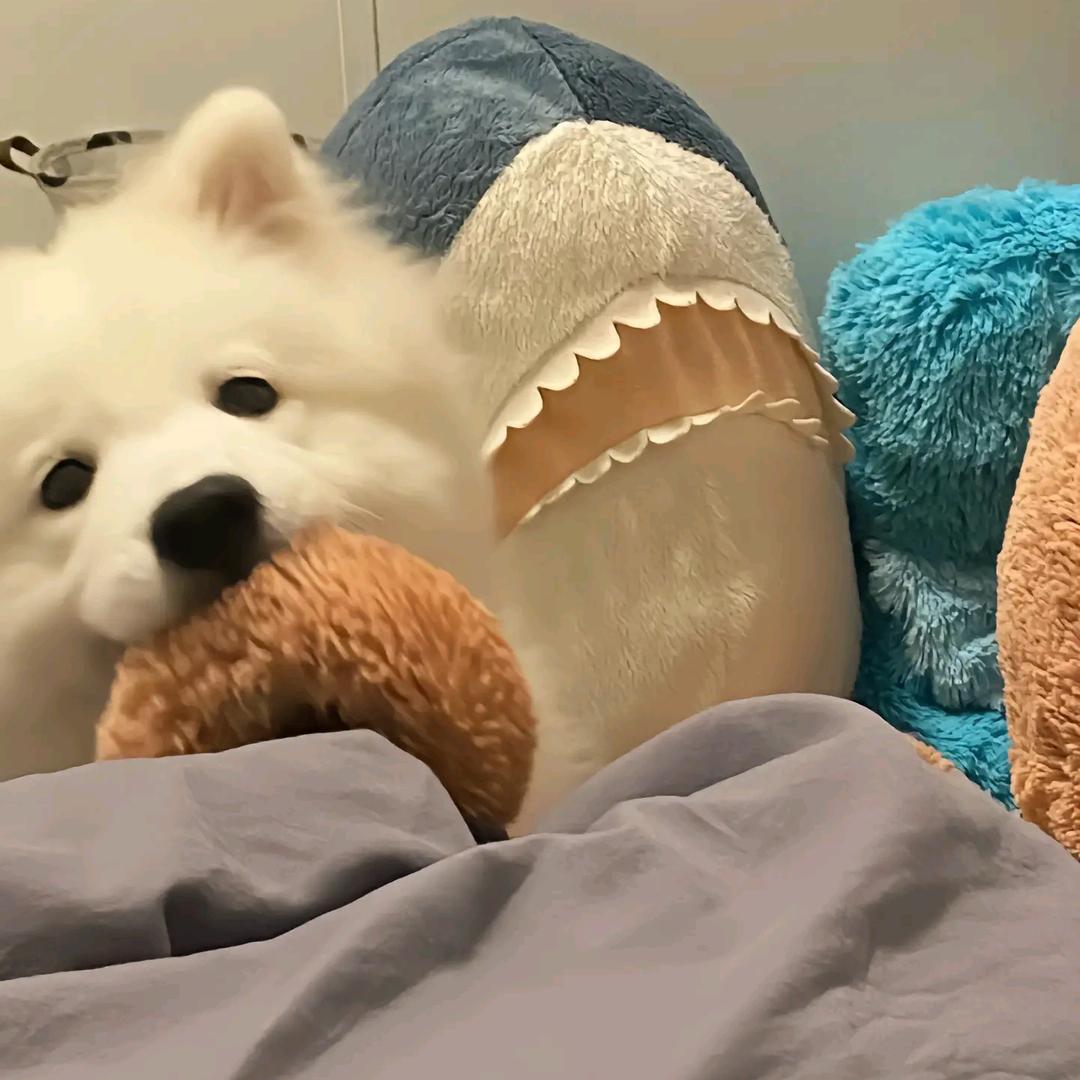 不合法